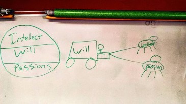 12661952_592845534199907_8388371791424168169_n